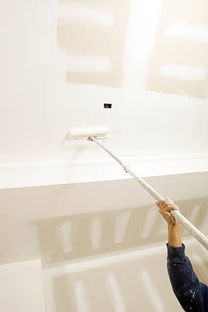 Trusted Colona, IL Dry wall and painting Experts